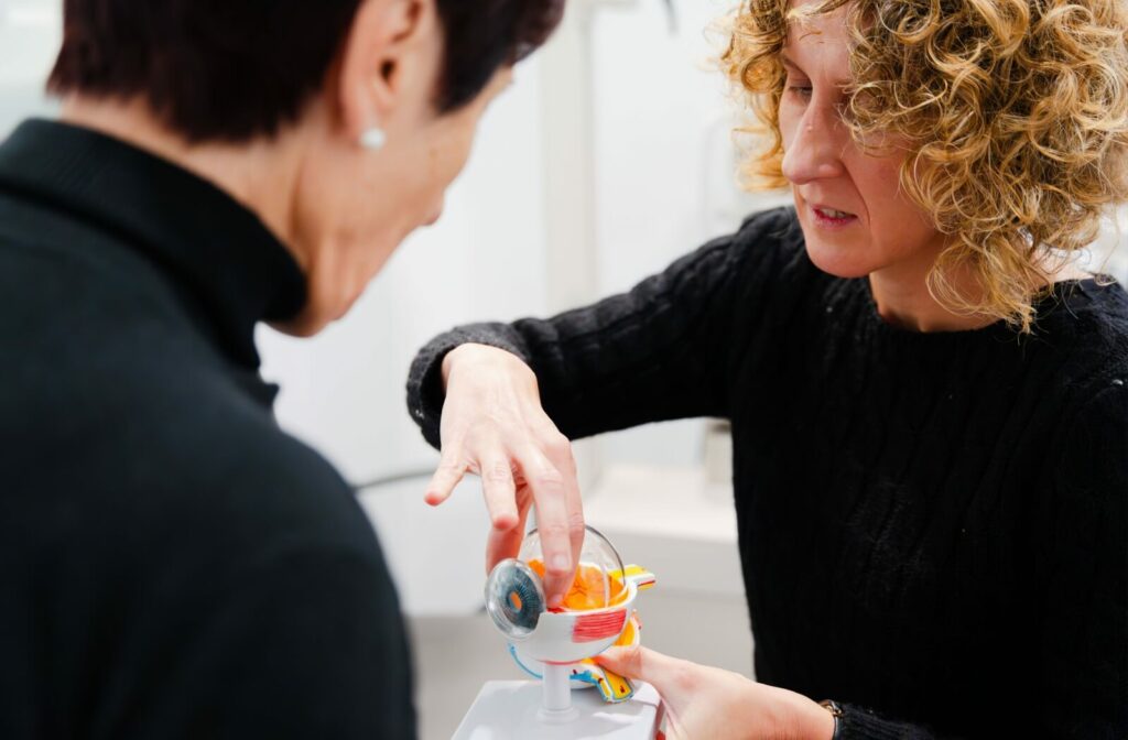 An optometrist explains how dry eyes and floaters affect different areas of the eye using an anatomical model.